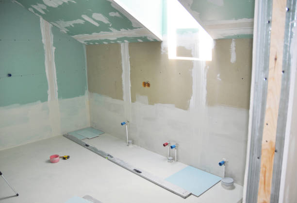 Best Attic Mold Removal  in Burns, TN