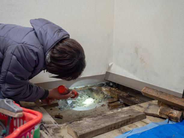 Best Forensic Mold Investigation  in Burns, TN