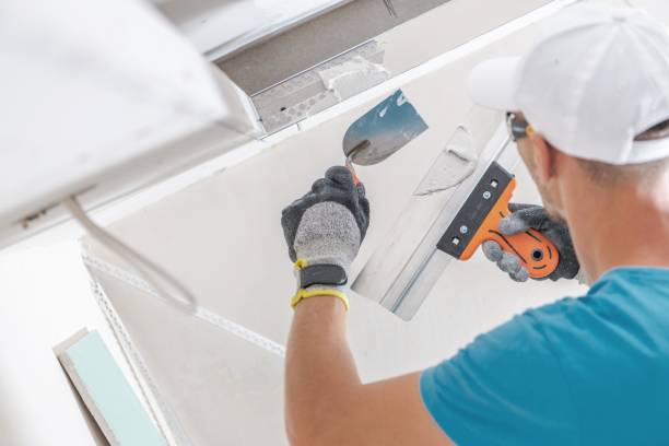 Best Water Damage & Mold Remediation  in Burns, TN